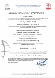 Cat 6A U-FTP