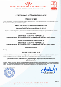SLT (FR) NMA-SHFJ (SM-MM) (2-24)