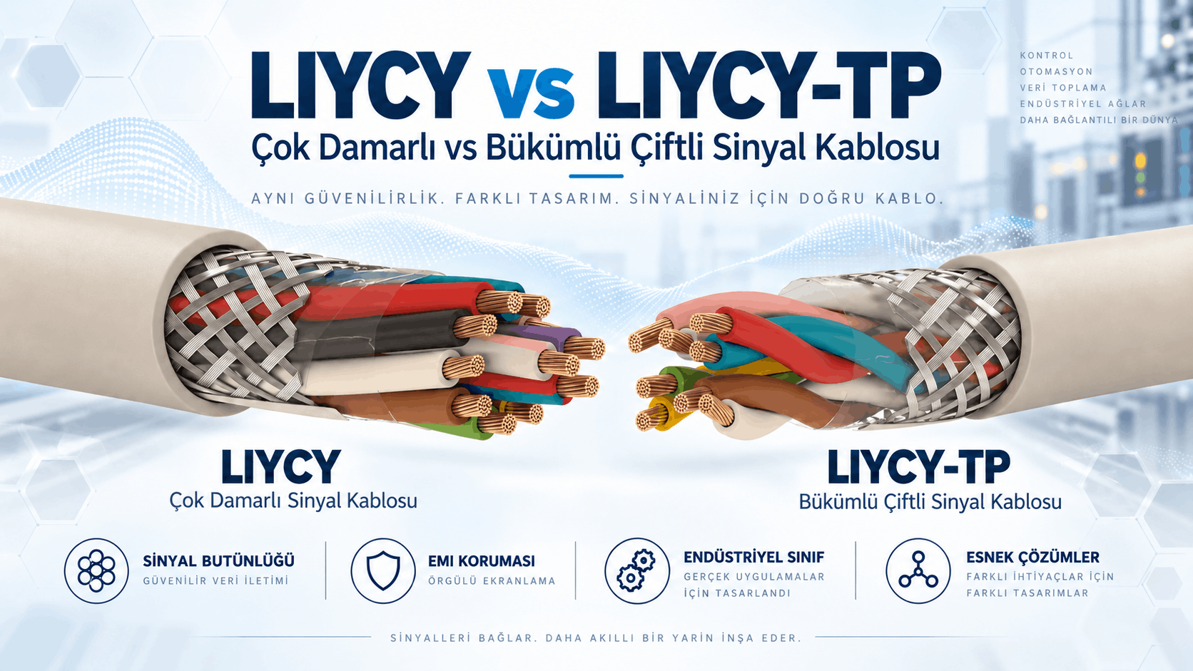 LIYCY ve LIYCY-TP farkı: çok damarlı ve bükümlü çift sinyal kablolarının damar düzeni ve örgü ekran karşılaştırması